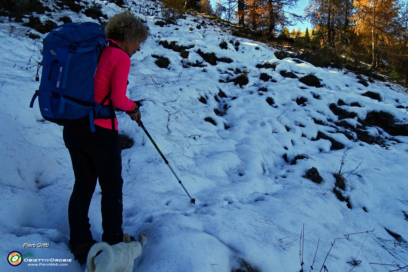 52 Sul sentiero nella neve impronte di camosci.JPG -                                